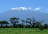 Kilimanjaro- Transition From Ironman to Killyman