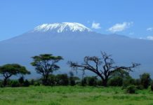 Kilimanjaro- Transition From Ironman to Killyman